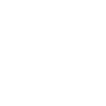 Bush Giant Safaris