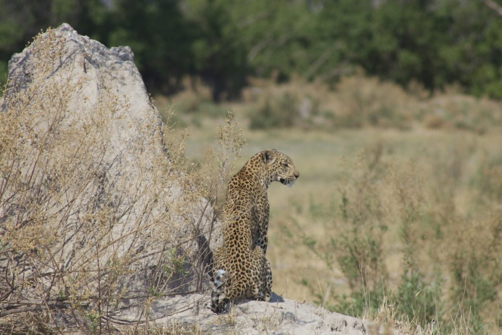 Home 0f946795 843e 477e b501 432dec0651c6 1 102 o