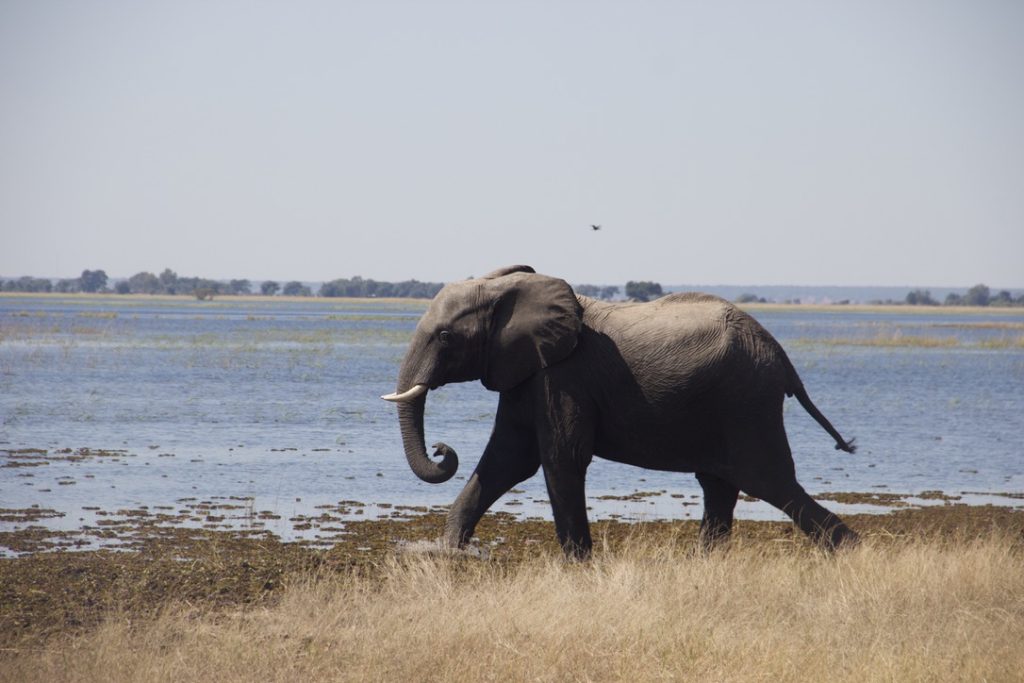 10f738e6 32c2 4efc 99ca 6658404c4b01 1 105 c