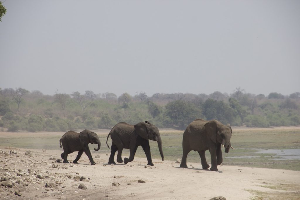 26a2a204 4811 4a7d aac6 20fad4ac5843 1 105 c 26a2a204 4811 4a7d aac6 20fad4ac5843 1 105 c