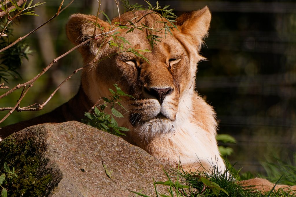 pexels photo 34220423 34220423 pexels-photo-34220423-34220423.jpg